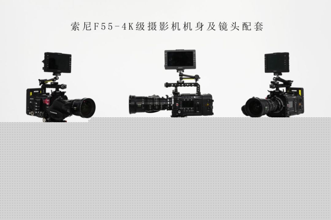 史蒂夫 Steve 视频海报