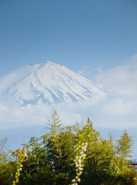 你的颜色 视频缩略图