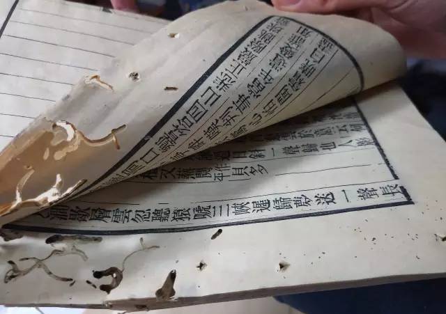 唐小小的魔法天台 视频缩略图