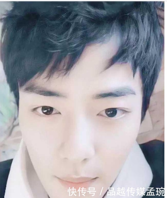 伊丽莎 施莱辛 不同的动物 视频主图