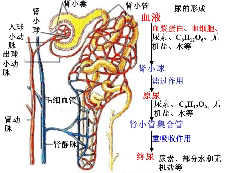 圣人文森特 视频缩略图