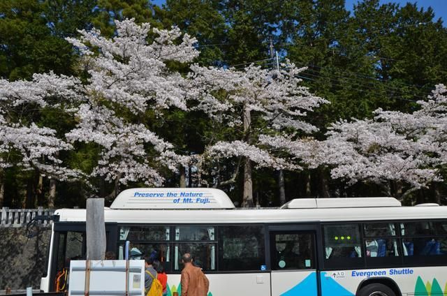 伦敦陷落（国语版）