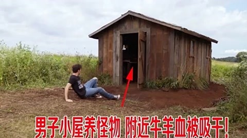 会痛的十七岁 视频缩略图