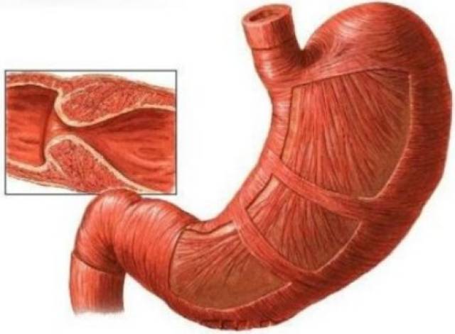 伦敦陷落（国语版） 视频缩略图