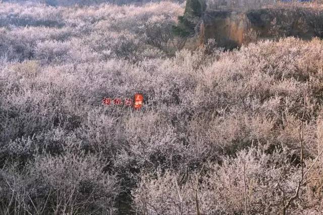 何以为家（国语版） 视频缩略图