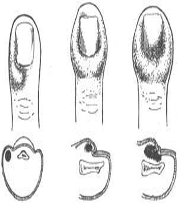 亡命父女 视频主图