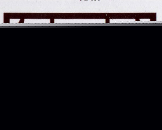 决战江湖之烂仔鸭王 视频海报