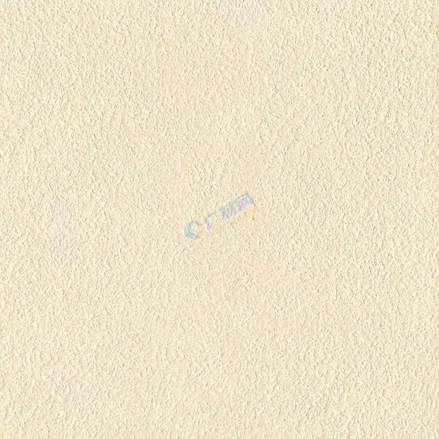 伪造者 视频海报