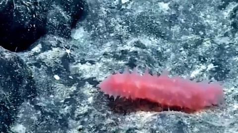 反转人生 视频缩略图