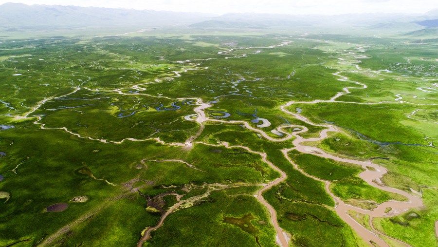 古惑仔：以暴制暴 视频缩略图