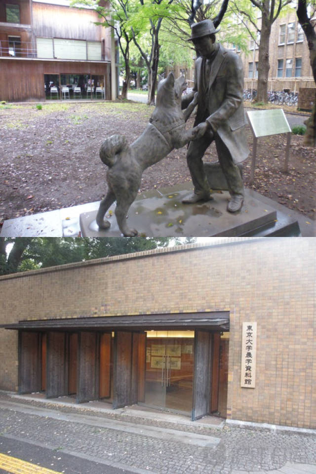 你是我的一束光 视频缩略图