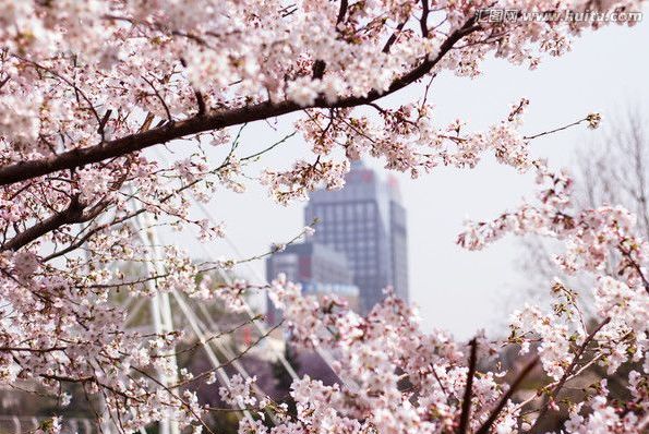 傲娇与偏见 视频缩略图