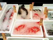 伏龙诀 视频缩略图