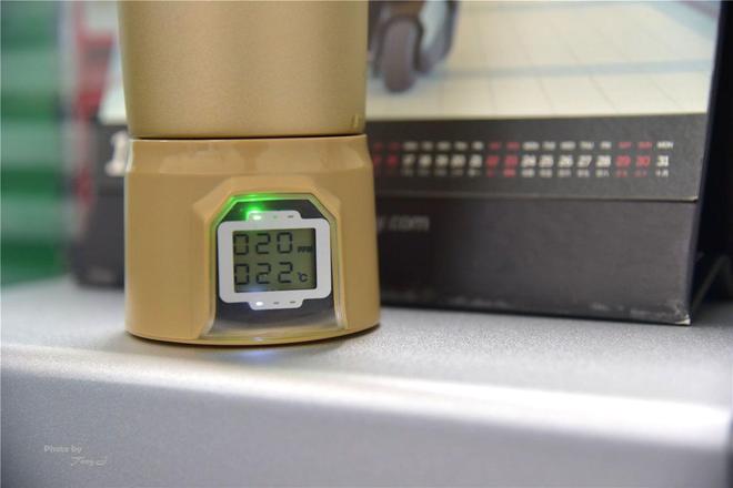 以假乱真：赝品的真实故事