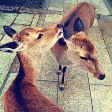 唤醒杀手 视频缩略图