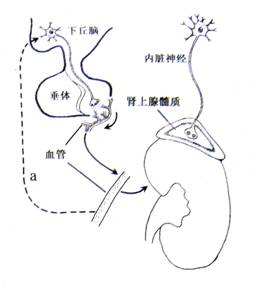 余生 视频缩略图