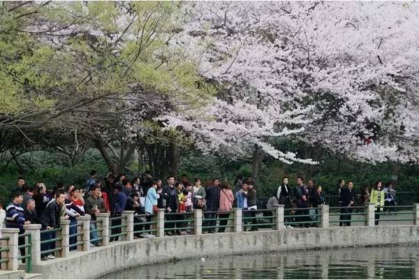 史酷比和狂热摔跤：飙车者之咒 视频缩略图