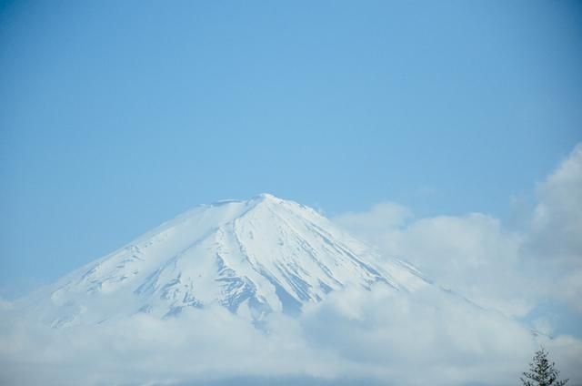 圆梦之梦 视频海报